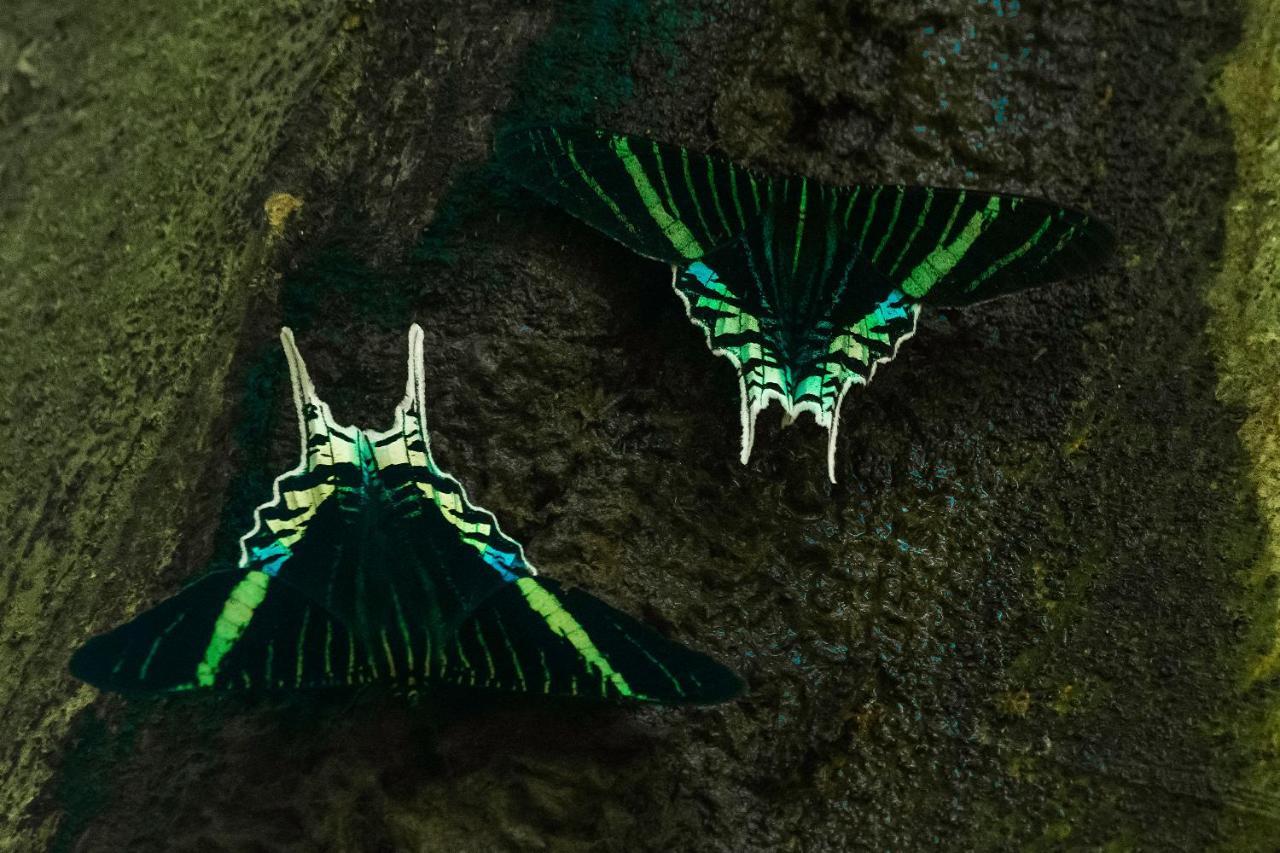 Grand Amazon Lodge And Tours Paraiso Екстер'єр фото