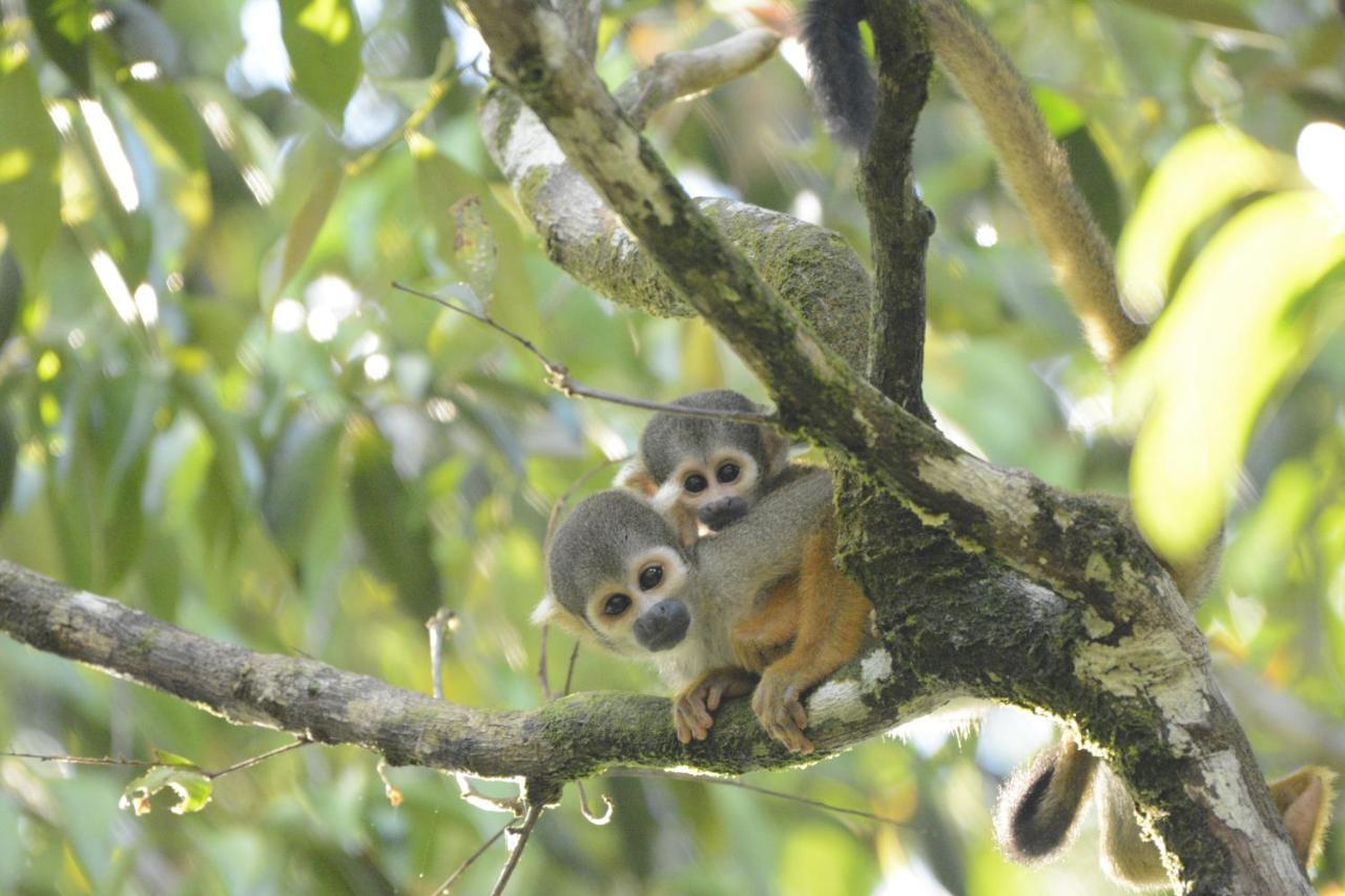Grand Amazon Lodge And Tours Paraiso Екстер'єр фото