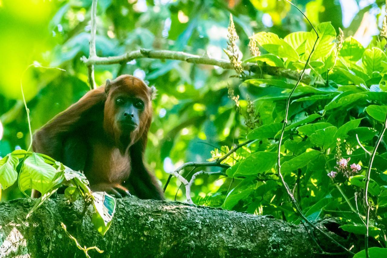 Grand Amazon Lodge And Tours Paraiso Екстер'єр фото