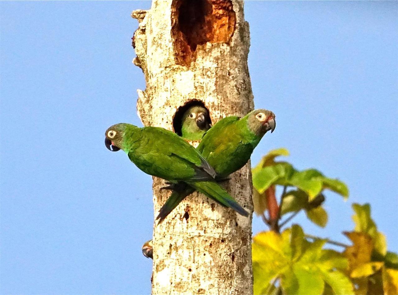Grand Amazon Lodge And Tours Paraiso Екстер'єр фото