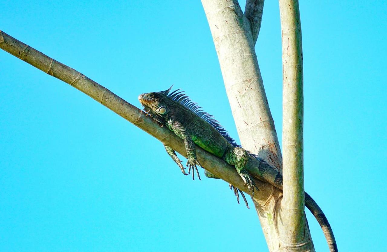 Grand Amazon Lodge And Tours Paraiso Екстер'єр фото