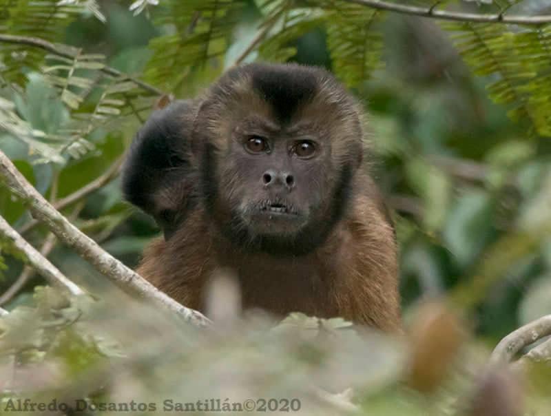 Grand Amazon Lodge And Tours Paraiso Екстер'єр фото