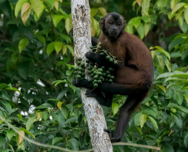Grand Amazon Lodge And Tours Paraiso Екстер'єр фото