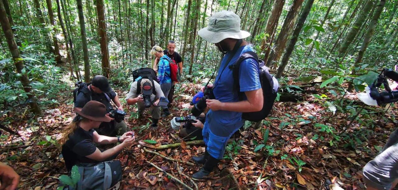 Grand Amazon Lodge And Tours Paraiso Екстер'єр фото